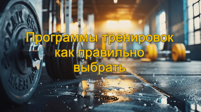 Программы тренировок как правильно выбрать